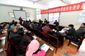 张世伟参加并指导陈家湾村党支部组织生活会