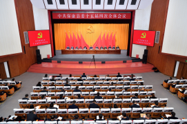 中共保康县委十五届四次全体会议举行