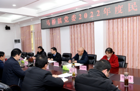 杜云峰在指导马桥镇党委民主生活会时强调：对党忠诚当标杆 推动发展有作为