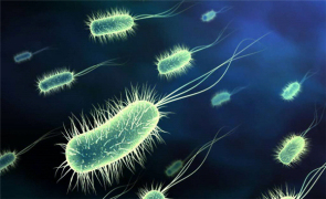 夏秋季为感染高峰期，儿童感染占比较高，不可忽视的沙门氏菌