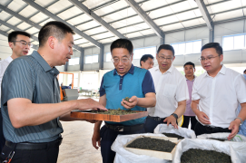 冯云波：延长加粗产业链条 推动茶叶产业高质量发展