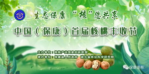 直播预告｜生态保康 “核”您共享！明天，中国（保康）首届核桃丰收节将在这里盛大启幕……