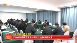 王杰参加县政协第十一届三次会议分组讨论