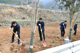 冯云波在参加义务植树活动时强调:坚持生态优先绿色发展 共同建设人与自然和谐共生的美丽家园