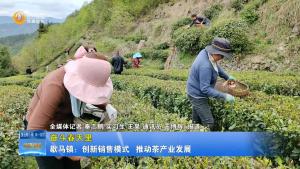 【奋斗春天里】歇马镇：创新销售模式 推动茶产业发展
