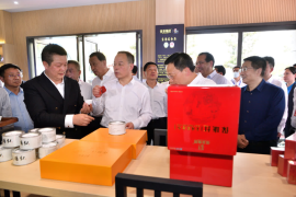 保康参加2024汉江流域茶文旅融合发展大会