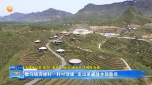 歇马镇百峰村：村村联建 走出茶旅融合新路径