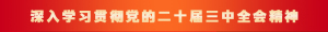 学习贯彻党的二十届三中全会精神