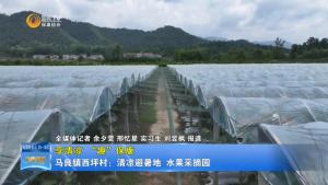 【享清凉 “趣”保康】马良镇西坪村：清凉避暑地 水果采摘园