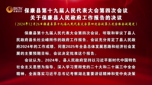 保康县第十九届人民代表大会第四次会议  关于保康县人民政府工作报告的决议